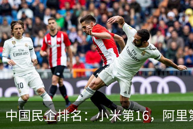 中国民企排名：小米第16，阿里第2，第1名营收11588亿，凭什么？