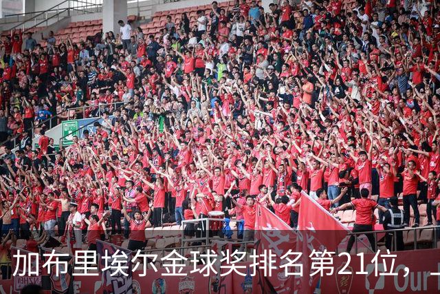 加布里埃尔金球奖排名第21位，上赛季英超17次零封为后卫最多