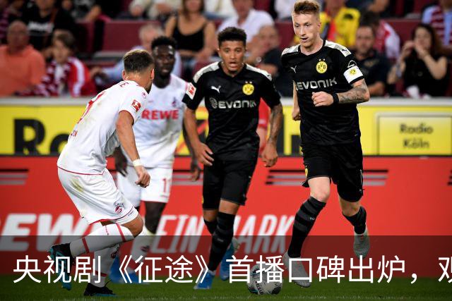 央视剧《征途》首播口碑出炉，观众评价一针见血，王挺演蒋介石不像