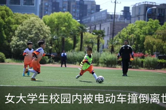 女大学生校园内被电动车撞倒离世，家属：外卖商家改装电动车，难以接受肇事者与女儿承担同等责任
