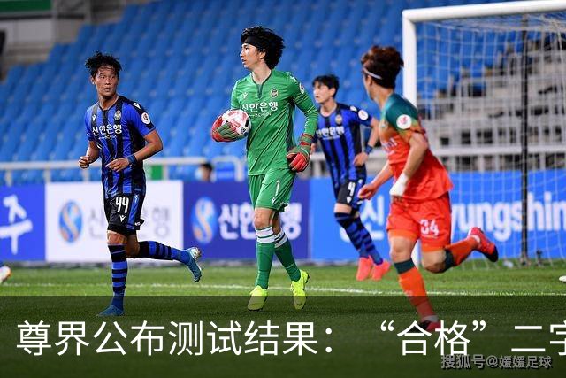 尊界公布测试结果：“合格”二字，能堵住刹车断裂的追问吗？
