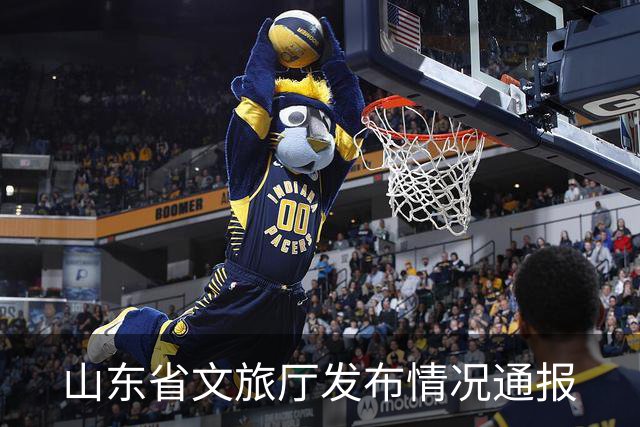 山东省文旅厅发布情况通报
