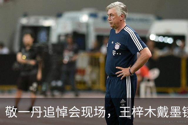 敬一丹追悼会现场，王梓木戴墨镜，王尔晴穿黑长裙，丈夫沉默很久
