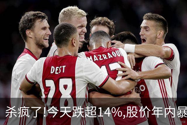 杀疯了!今天跌超14%,股价年内暴跌95.37%,从最高14.24砸到0.66!
