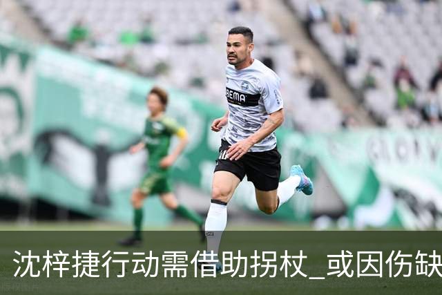 沈梓捷行动需借助拐杖 或因伤缺席抢五生死战