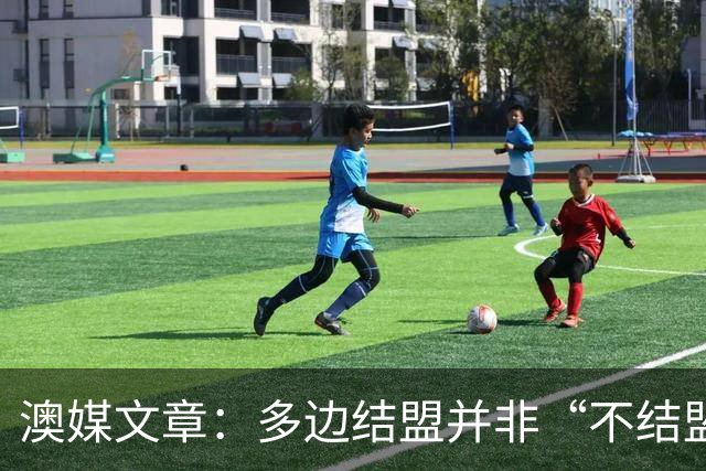 澳媒文章：多边结盟并非“不结盟现代版”
