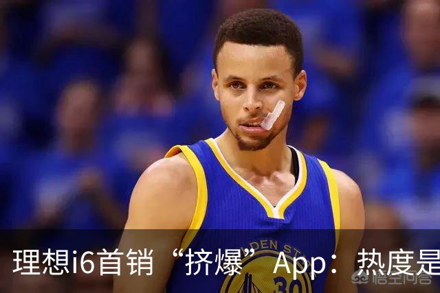理想i6首销“挤爆”App：热度是真的，减配也是真的