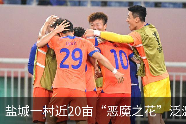 盐城一村近20亩“恶魔之花”泛滥成灾，这独特的风景为何无人管？