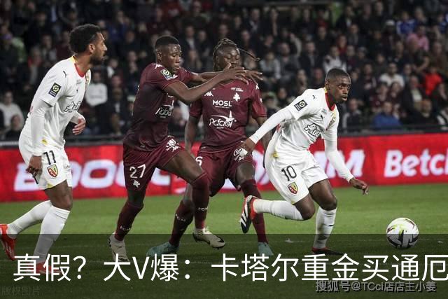 真假？大V爆：卡塔尔重金买通厄瓜多尔球员以赢球