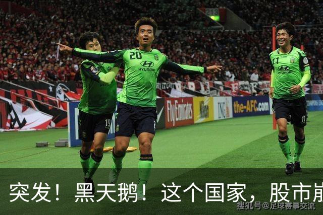 突发！黑天鹅！这个国家，股市崩盘!