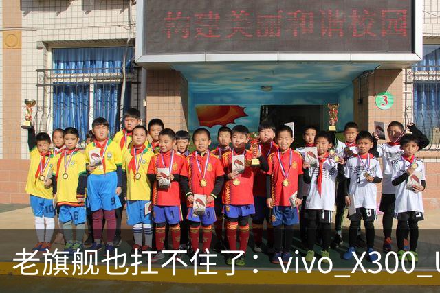 老旗舰也扛不住了：vivo X300 Ultra官网全版本调价，最高涨2000元