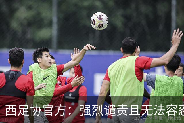 西足协官方：强烈谴责且无法容忍侮辱维尼修斯的行为