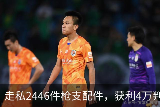 走私2446件枪支配件，获利4万判了10年，国家射击教练田红案披露
