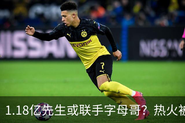 1.18亿先生或联手字母哥？热火被点名成欧文潜在下家