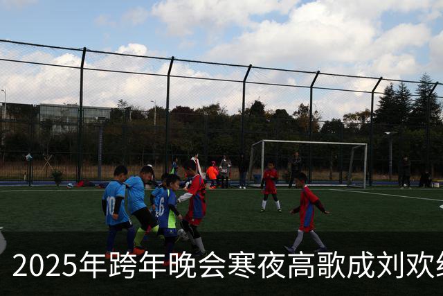 2025年跨年晚会寒夜高歌成刘欢绝唱，网友弹幕送别他