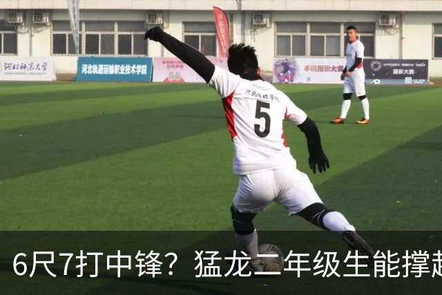 6尺7打中锋？猛龙二年级生能撑起五号位吗