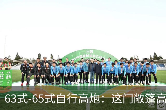63式-65式自行高炮：这门敞篷高炮如何成了越战丛林里的火力噩梦